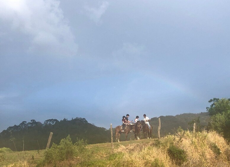 Picture 23 for Activity From Paraty: Private Horse-Riding Experience, Picnic, Driver