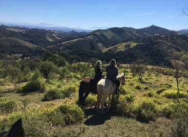 From Paraty: Private Horse-Riding Experience, Picnic, Driver