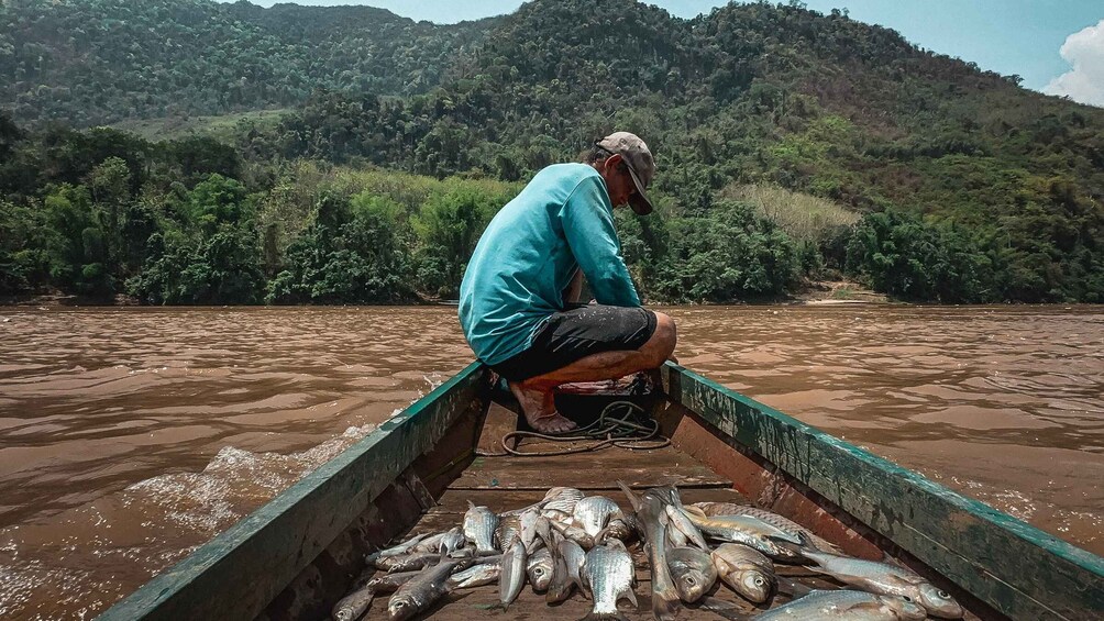 Picture 1 for Activity Luang Prabang: Mekong Fishing with a Local Fisherman & Lunch