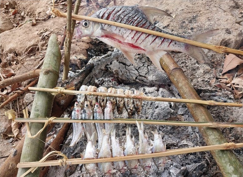 Picture 2 for Activity Luang Prabang: Mekong Fishing with a Local Fisherman & Lunch