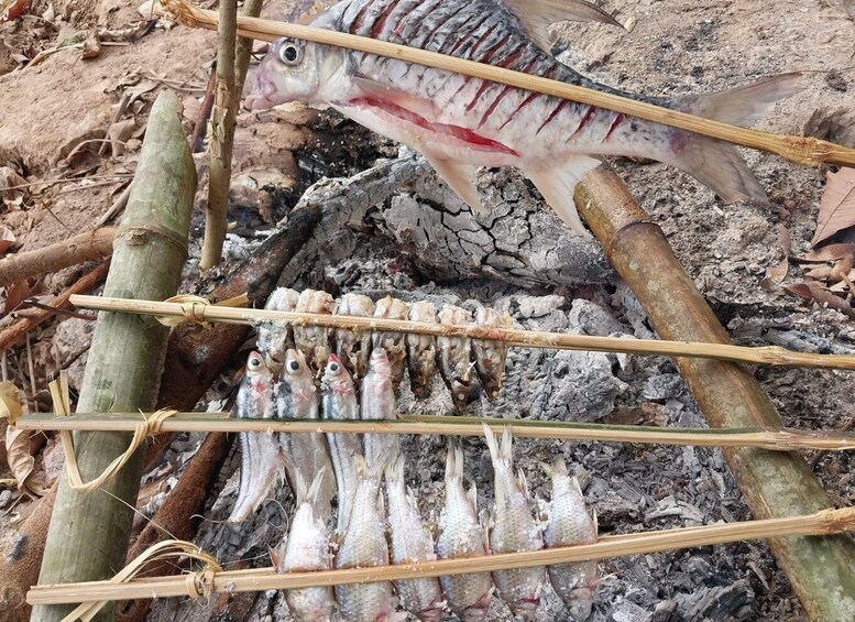 Picture 2 for Activity Luang Prabang: Mekong Fishing with a Local Fisherman & Lunch