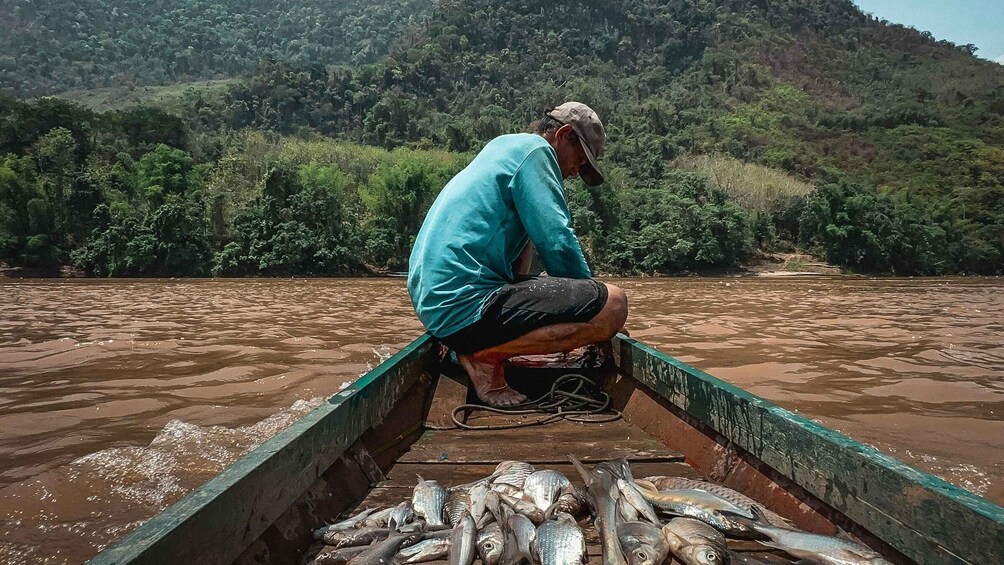 Picture 1 for Activity Luang Prabang: Mekong Fishing with a Local Fisherman & Lunch