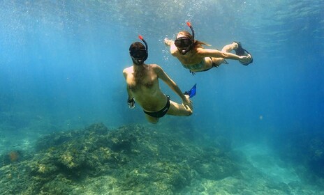 San Jose del Cabo privé Snorkeling Tour