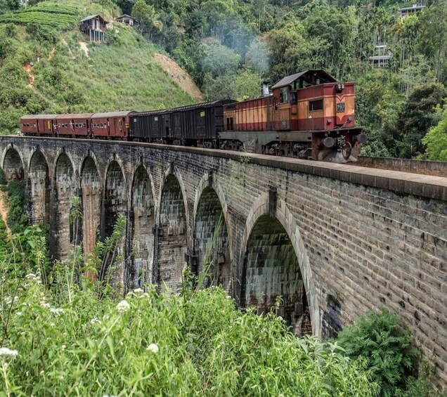 Picture 9 for Activity From Ella :- Little Adam’s Peak & 9 Arch bridge Tour