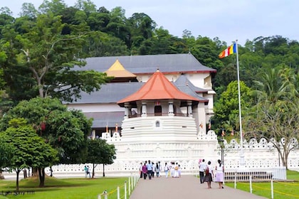 From Bentota/Kalutara: Magical Journey to Kandy & Pinnawala