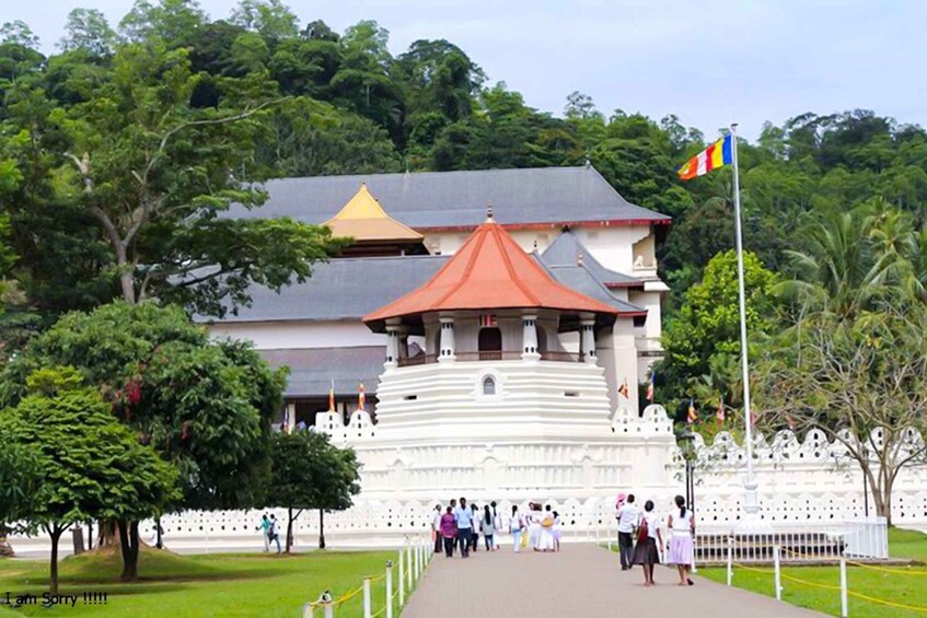 Magical Journey to Kandy & Pinnawala from Bentota/ Kalutara