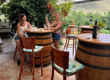 Las Palmas: Gran Canaria's Best Wineries and Views Tour
