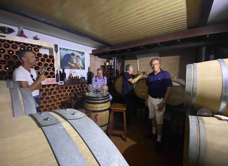 Picture 1 for Activity Gran Canaria: Best Wineries and Views Tour