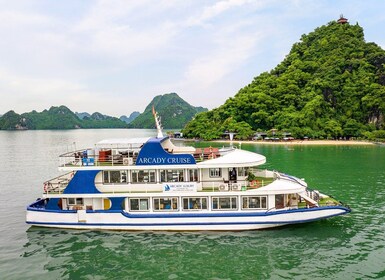 Halong: Arcady 5 Star Day Cruise, Buffet Lunch, Wine & Fruit