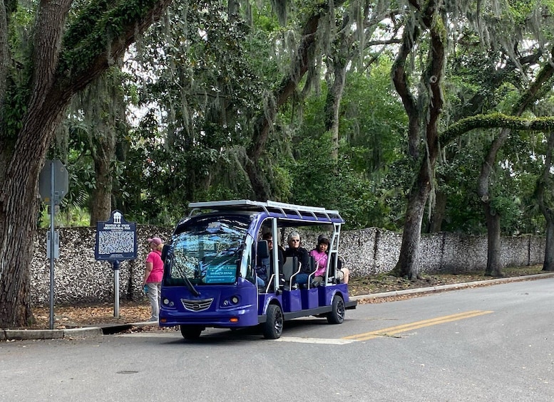 Picture 7 for Activity St. Augustine: Boat Cruise and Electric Golf Cart Tour