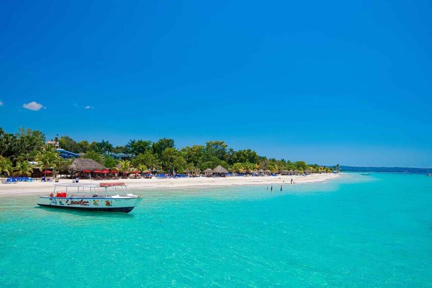 Picture 13 for Activity Seven Miles Beach &Rick’s Cafe Private Tour From Montego Bay