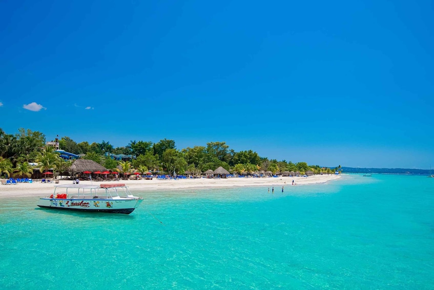 Picture 13 for Activity Seven Miles Beach &Rick’s Cafe Private Tour From Montego Bay