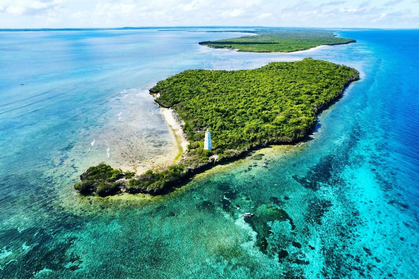 Dolphin & Tumbatu Island Snorkeling