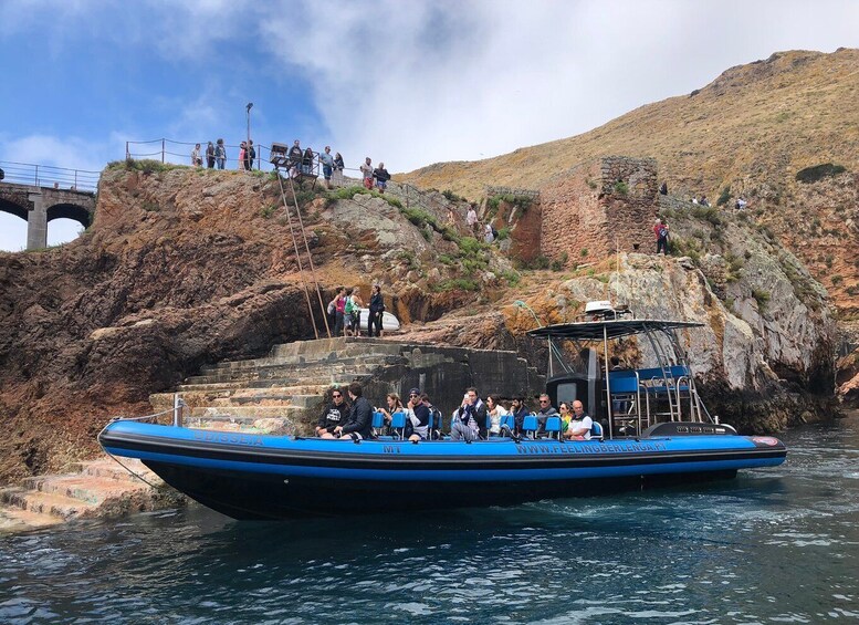 Picture 2 for Activity Peniche: Berlenga Island and Cave Tour