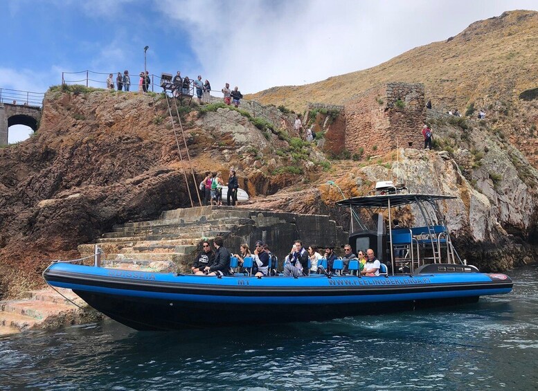 Picture 2 for Activity Peniche: Berlenga Island and Cave Tour