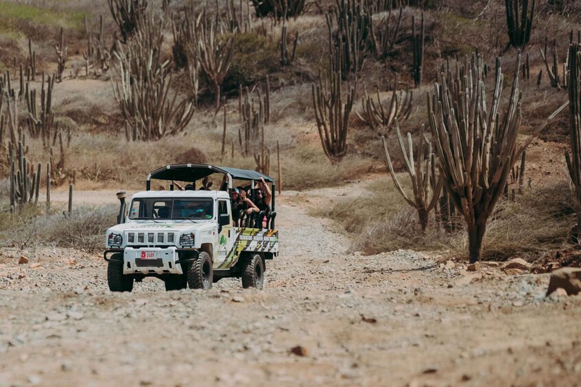 Picture 2 for Activity Noord: Arikok National Park Jeep Tour with Baby Beach Visit