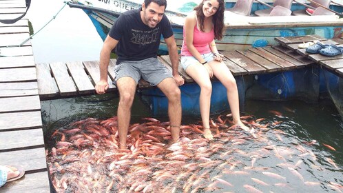 Excursión de un día al fuerte de Galle y Bentota desde Bentota