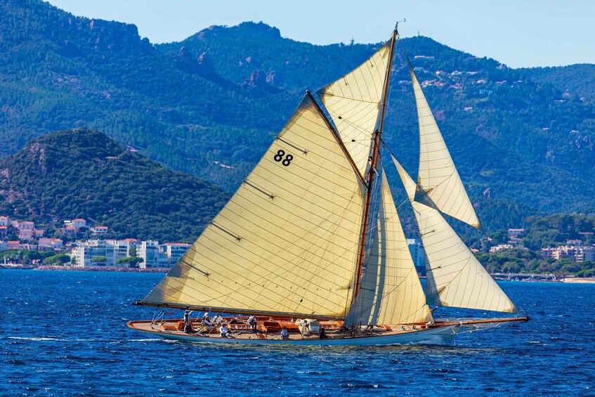 Picture 4 for Activity Cannes Royal Regatta Catamaran cruise