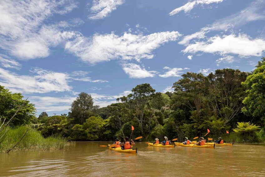 Picture 1 for Activity Hallertau Clevedon Kayak Tour