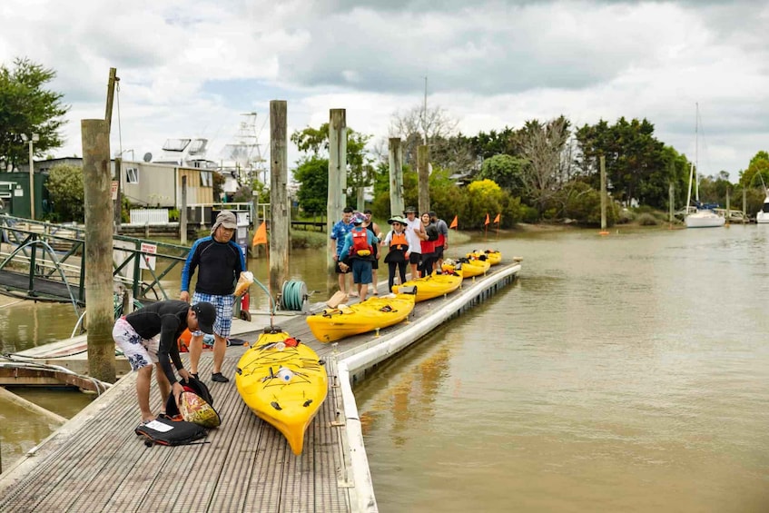 Picture 8 for Activity Hallertau Clevedon Kayak Tour