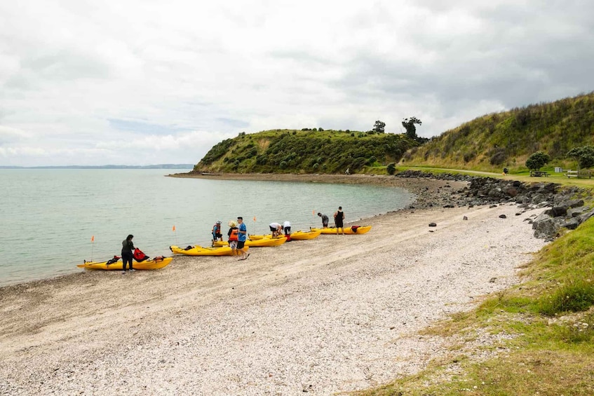 Picture 3 for Activity Hallertau Clevedon Kayak Tour