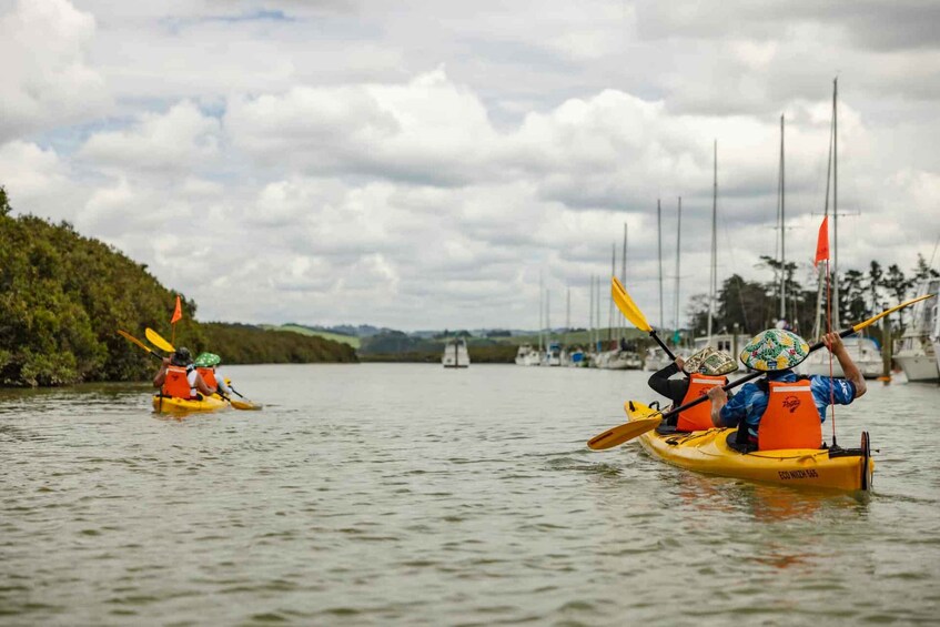 Picture 5 for Activity Hallertau Clevedon Kayak Tour