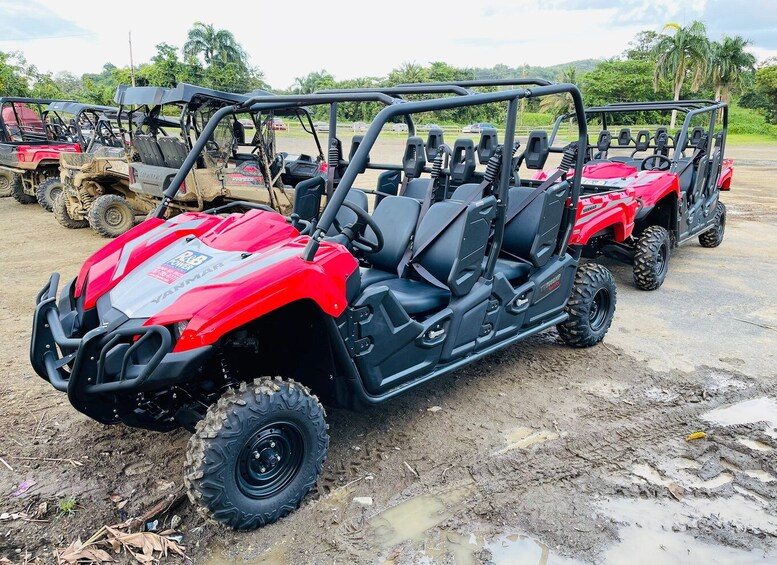 Carabalí Rainforest Park: UTV Adventure Tour