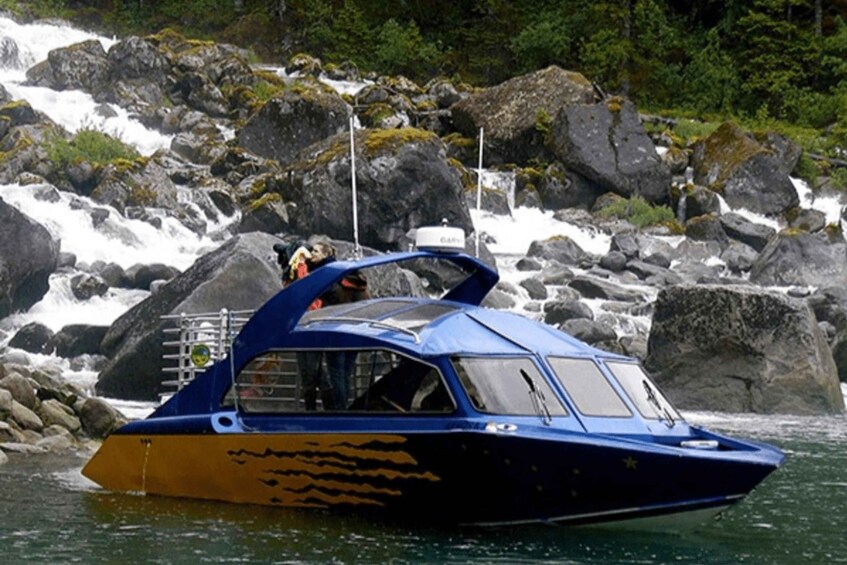 Picture 1 for Activity Wrangell: Leconte Glacier Boat Tour