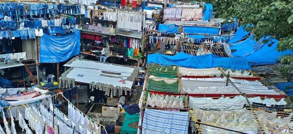 Picture 2 for Activity Mumbai: Dhobi Ghat Laundry and Dharavi Slum Tour with Local