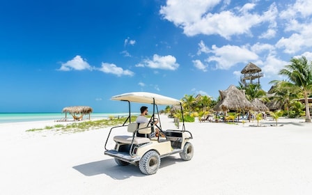 Desde Cancún: excursión guiada de un día a Isla Holbox con almuerzo