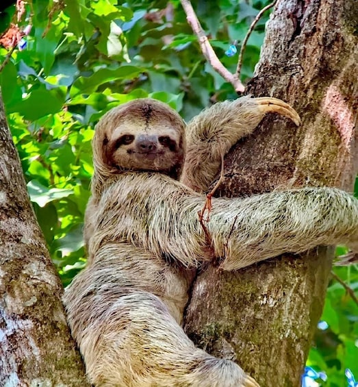 Quepos: Manuel Antonio National Park Guided Tour