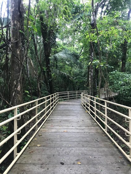 Picture 1 for Activity Quepos: Manuel Antonio National Park Guided Tour