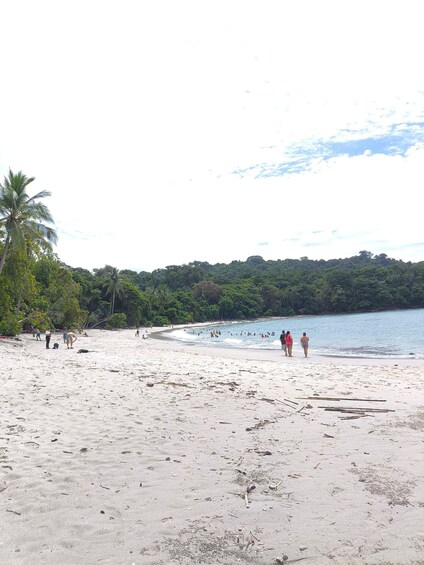 Picture 24 for Activity Quepos: Manuel Antonio National Park Guided Tour