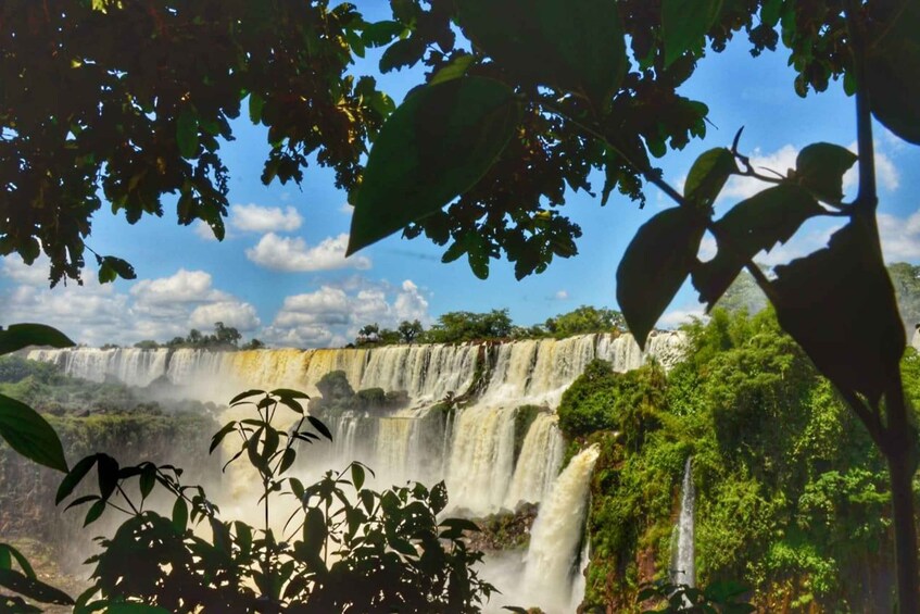 Picture 4 for Activity Iguassu Waterfalls: 1 Day Tour Brazil and Argentina's sides