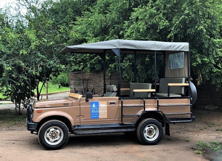 Picture 4 for Activity From Zanzibar: 2D2 Full Game Drives in Nyerere N.P. VIP