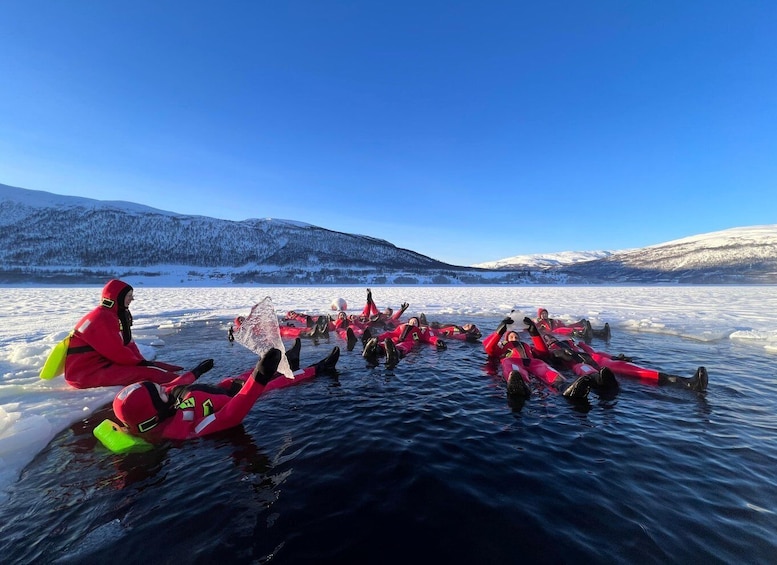 Tromsø: Arctic Ocean Floating Camp Rescue Suit Swimming