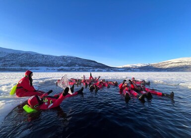 Tromsø: Arctic Ocean Floating with Snacks and Drinks