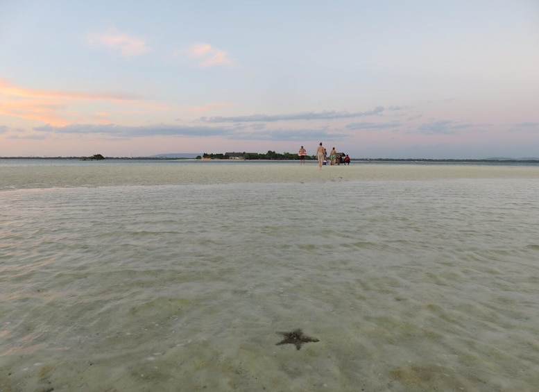 Picture 2 for Activity From Bohol: Virgin Island Sunset Tour