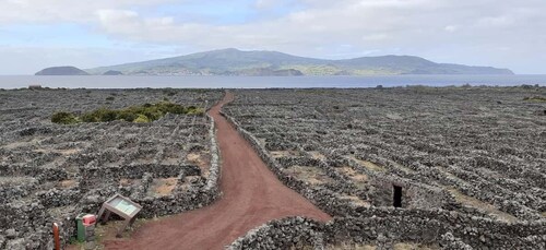 Tours on Pico Island - Cultural and Natural Landscape