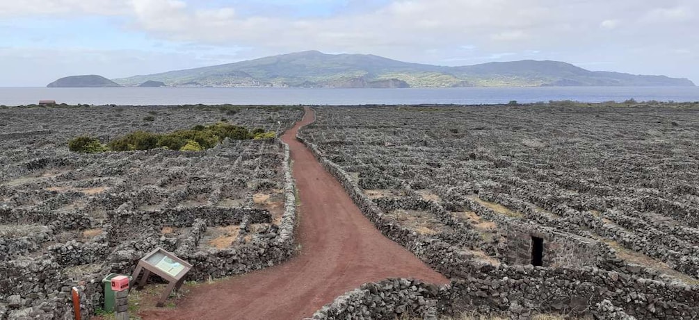 Tours on Pico Island - Cultural and Natural Landscape