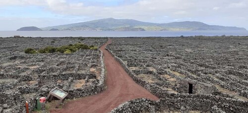 Tours on Pico Island - Cultural and Natural Landscape