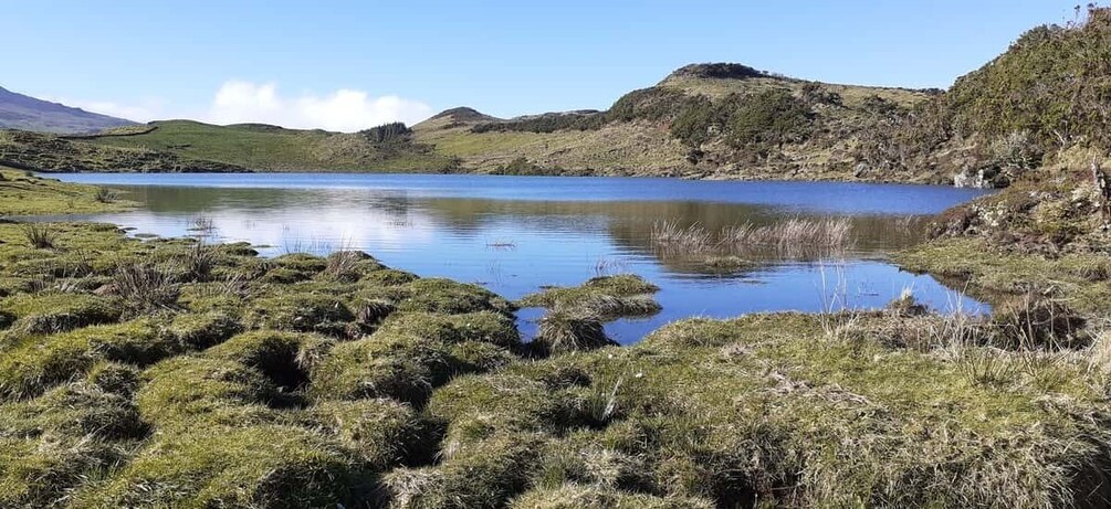 Picture 2 for Activity Tours on Pico Island - Cultural and Natural Landscape