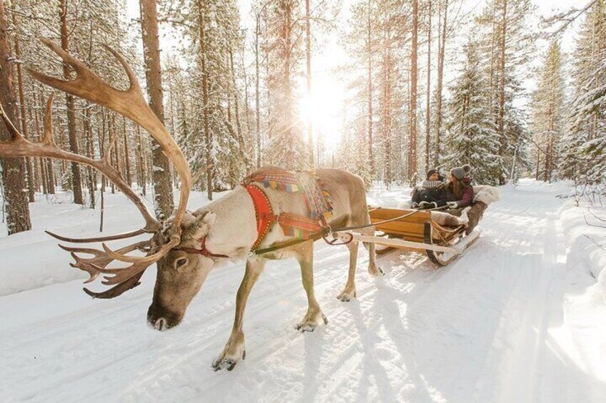 Reindeer Ride