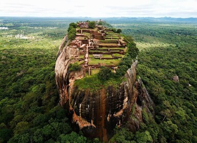 Sigiriya et Dambulla journée complète excursion