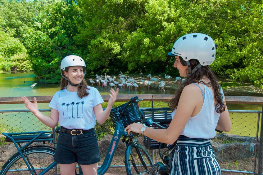 Picture 4 for Activity Lyon : Discovery of the Tête d'Or Park by bike