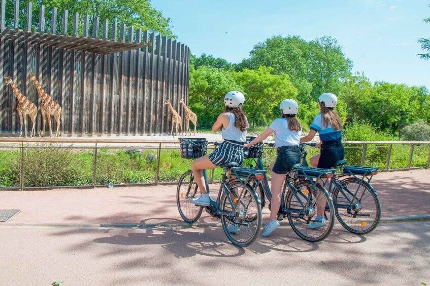 Picture 3 for Activity Lyon : Discovery of the Tête d'Or Park by bike