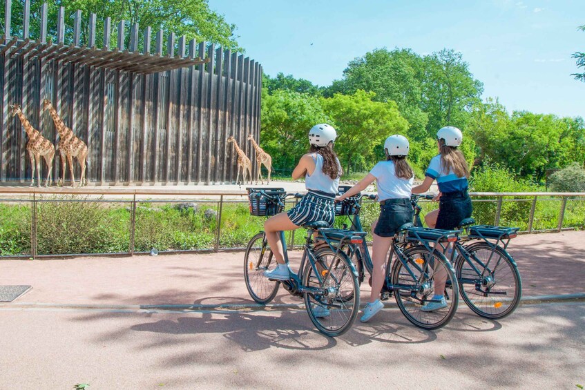 Picture 3 for Activity Lyon : Discovery of the Tête d'Or Park by bike