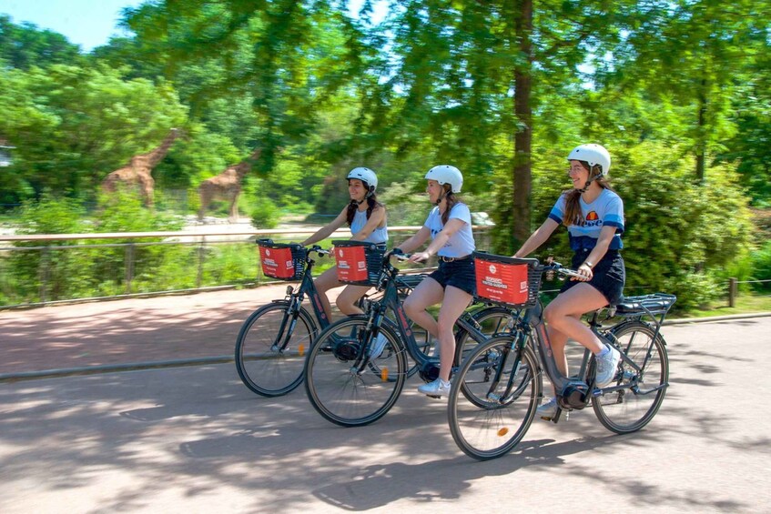 Picture 1 for Activity Lyon : Discovery of the Tête d'Or Park by bike