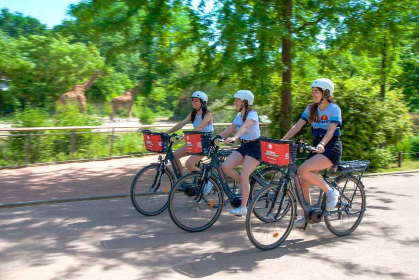 Picture 1 for Activity Lyon : Discovery of the Tête d'Or Park by bike