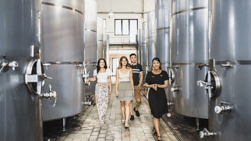 Bali: Wine Tasting Factory Tours with Optional Sightseeing